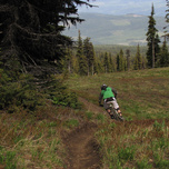 The Flow Trail