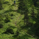 Saalbach Freeriden