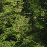 Saalbach Freeriden