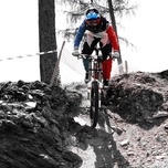 Go shred